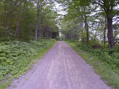 A gravel road lined with trees