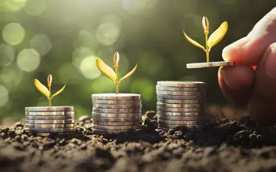 stacks of coins sprouting plants