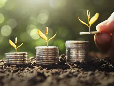 stacks of coins sprouting plants