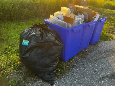 Garbage and recycling bins.