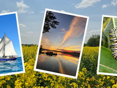 a photo collage featuring a yellow field, monarch capterpillar, sunset, and tallship