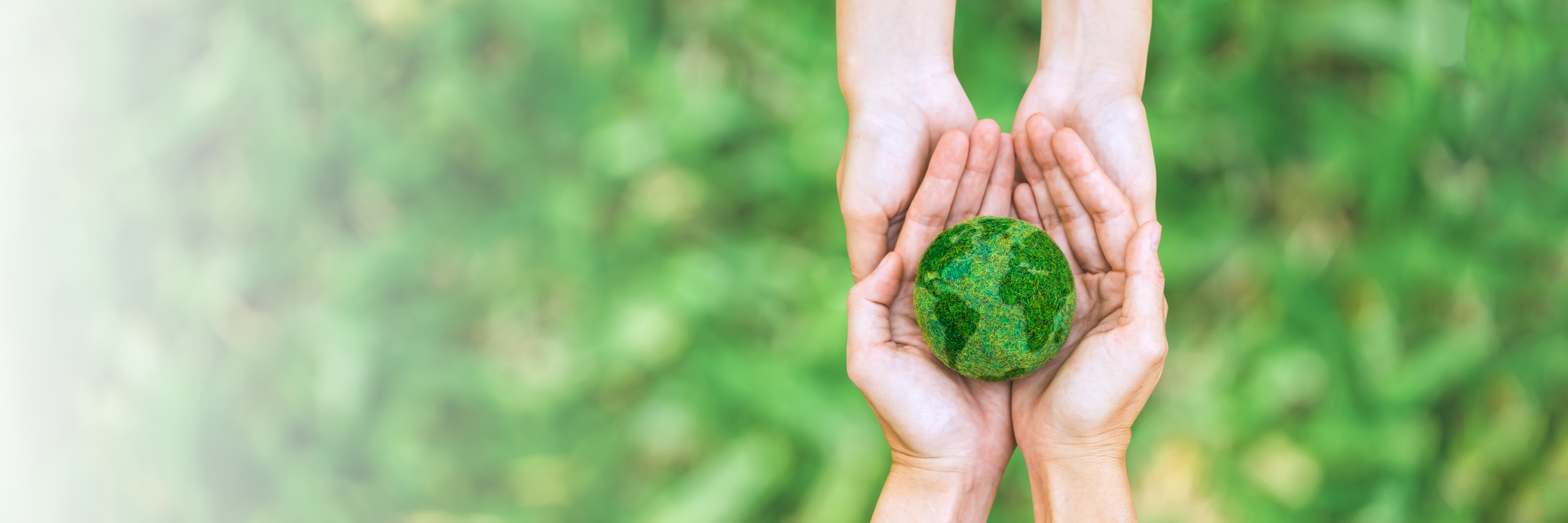 A green globe held in a hand