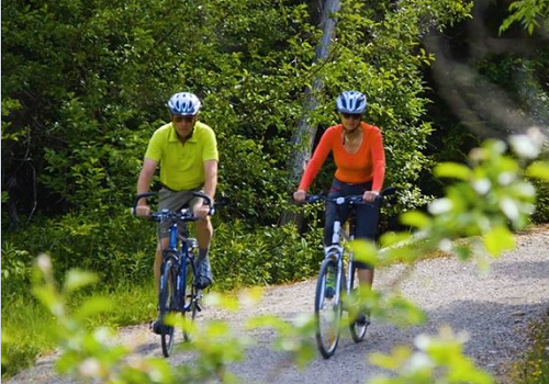 Cyclists on a wide gravel trail.