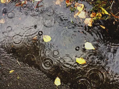 Rain puddle on road