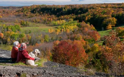 A couple looking out over skinner's bluff with their dog