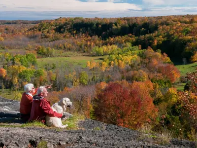 A couple looking out over skinner's bluff with their dog
