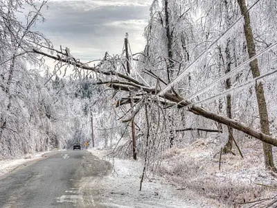 A branch on a powerline on freezing rain
